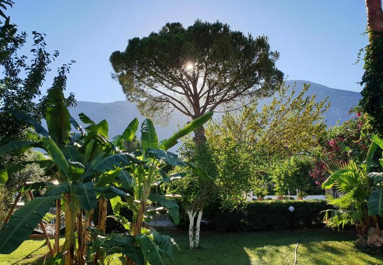 Gokcen Apartments Ölüdeniz Extérieur photo